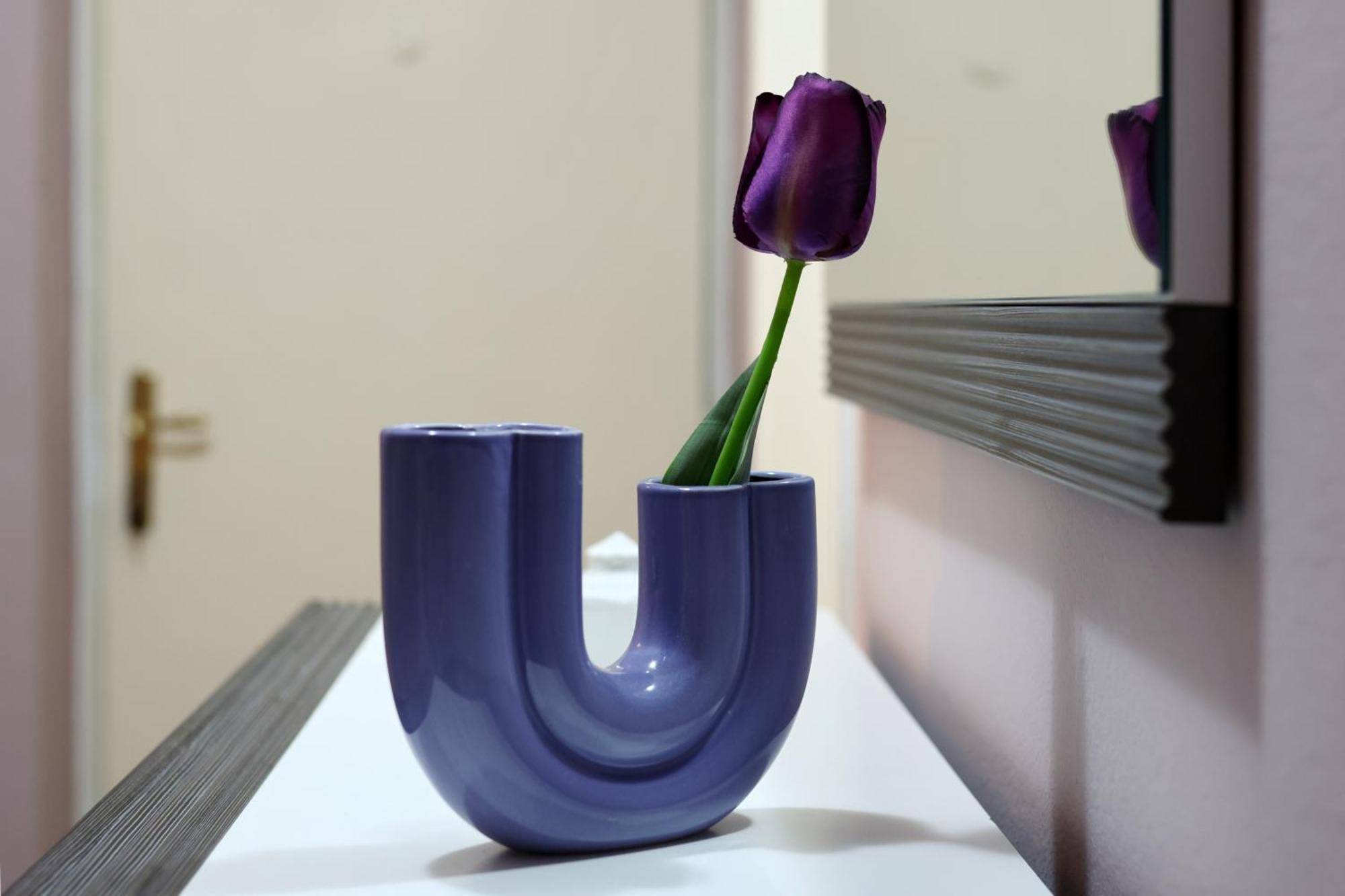 City Apartment Marcela زادار المظهر الخارجي الصورة